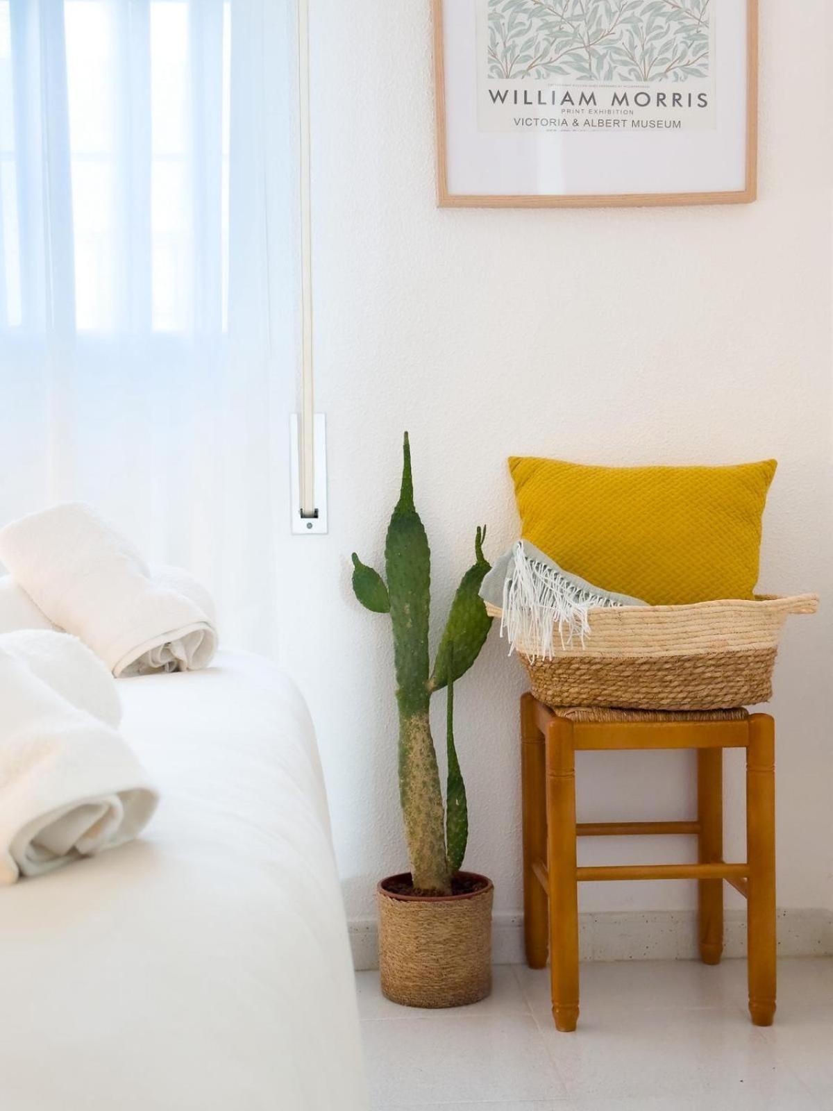 El Gato Gris Apartment Conil De La Frontera Ngoại thất bức ảnh